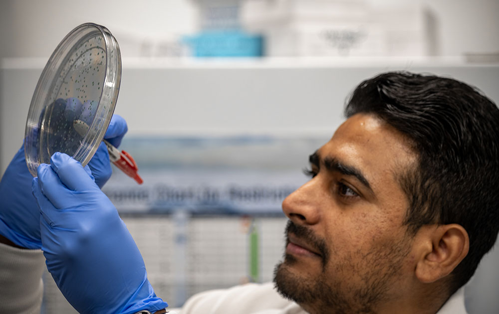 Plasmid-Purification-1000x630 Plasmid-Purification