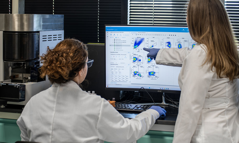 Virovek-Lab-Team